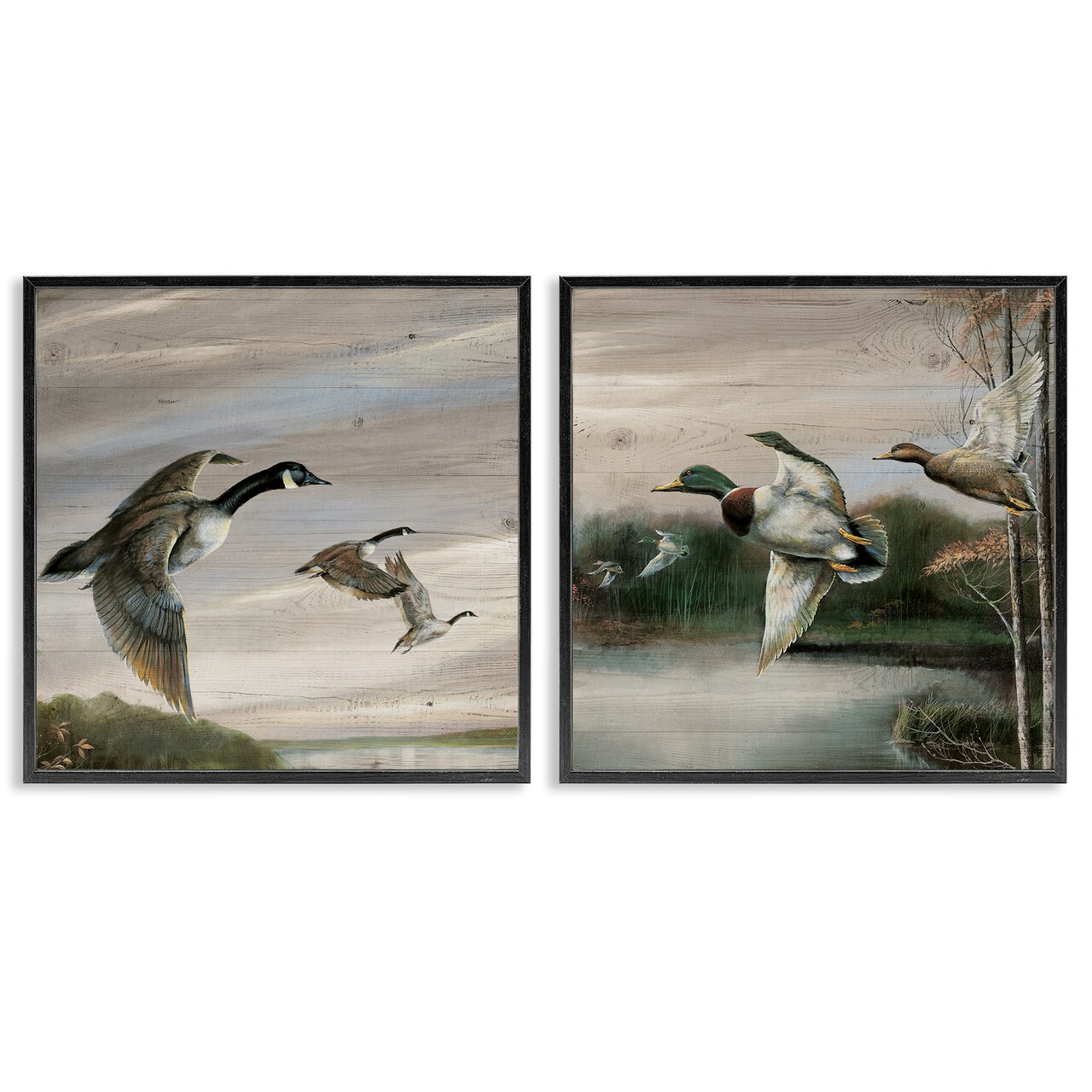 Stupell Industries Geese & Ducks in Nature 2pc Framed Giclee Set Design by Ruane Manning